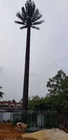 Thông tin liên lạc ngụy trang Tháp cây cọ cao 0m - 80m