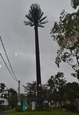 Tháp ăng ten hình ống di động Pine Tree cho viễn thông